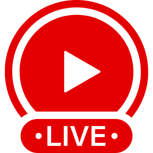 Facesitting Findom | Live Webcam Shows & Interactive Adult Entertainment